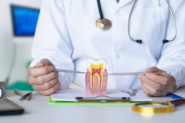 Best Emergency Dental Care for Trauma or Injury in Upper Greenwood Lake, NJ